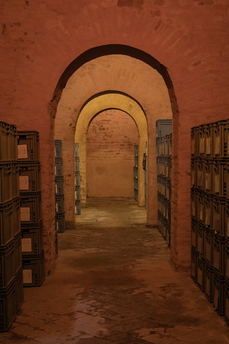 Wine Cellar